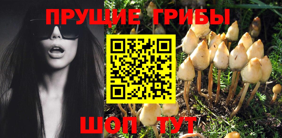 Фролово  Галлюциногенные грибы MAGIC MUSHROOMS  Вход с VPN 